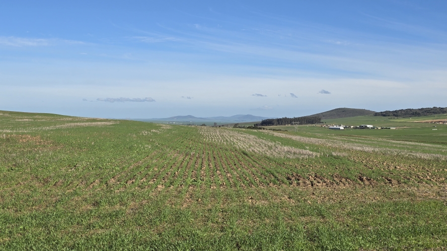 Commercial Property for Sale in Paarl Rural Western Cape